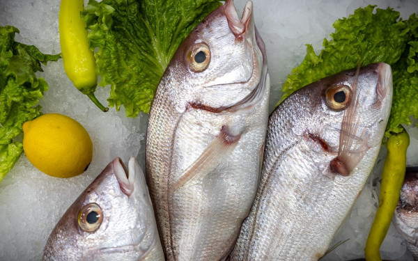 DaCosta: Ένα ιχθυοπωλείο που ξεχωρίζει για τα φρέσκα ψάρια και θαλασσινά του αλλά και για τις γαστρονομικές δημιουργίες του