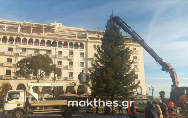 Θεσσαλονίκη: Στήθηκε το χριστουγεννιάτικο δέντρο στην πλατεία Αριστοτέλους - Δείτε βίντεο και φωτογραφίες