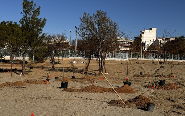 Θεσσαλονίκη: Άρχισε η φύτευση 7.000 δέντρων στο Μητροπολιτικό Πάρκο Παύλου Μελά