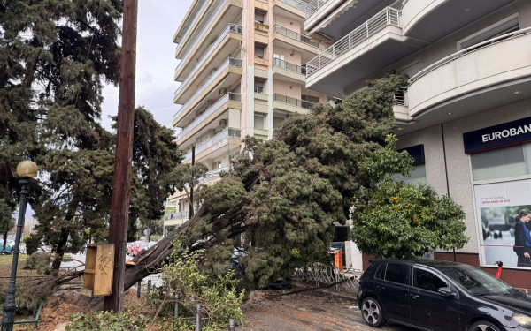 Θεσσαλονίκη: Εργασίες αποκατάστασης ζημιών από την κακοκαιρία - Σε ποια σημεία