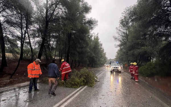 Τριαντόπουλος στην Πιερία: Ενεργοποιείται το πλαίσιο της κρατικής αρωγής για τη στήριξη περιοχών που επλήγησαν από την κακοκαιρία