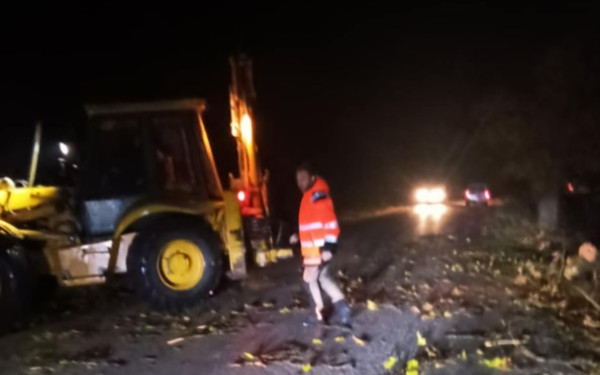 Τρίκαλα: Οι άνεμοι έριξαν δέντρα και άφησαν νοικοκυριά χωρίς ρεύμα - Δείτε βίντεο