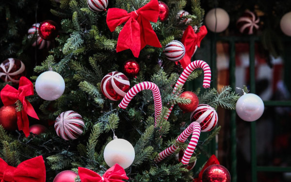 Δ. Ωραιοκάστρου: Αναβάλλονται οι φωταγωγήσεις χριστουγεννιάτικων δέντρων