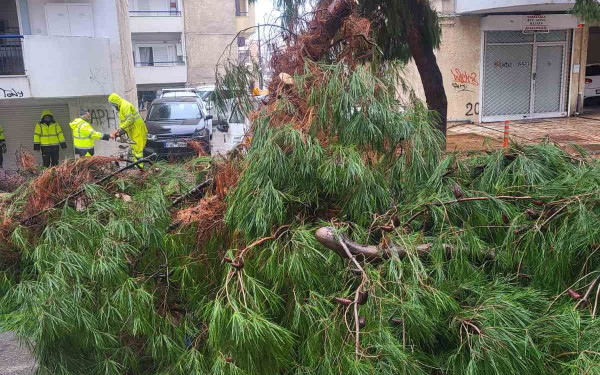Θεσσαλονίκη: Η κακοκαιρία δεν άφησε «πληγές» στον Δήμο Κορδελιού - Ευόσμου