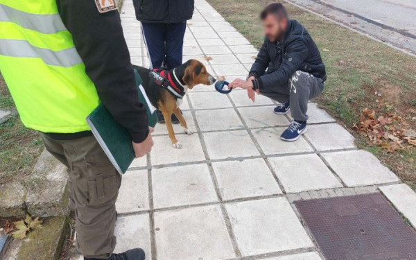 Θεσσαλονίκη: Έλεγχοι σε ιδιοκτήτες δεσποζόμενων ζώων - Πρόστιμα άνω των 8.000 ευρώ τον Νοέμβριο (φωτ.)