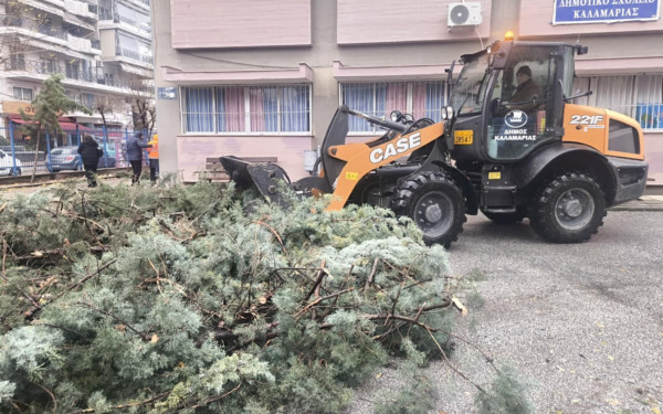 Kακοκαιρία Bora: Η Καλαμαριά άντεξε, το πράσινο «πληγώθηκε»