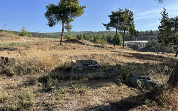 Δ. Θεσσαλονίκης: «Όλοι μαζί μπορούμε» να πρασινίσουμε την πόλη μας