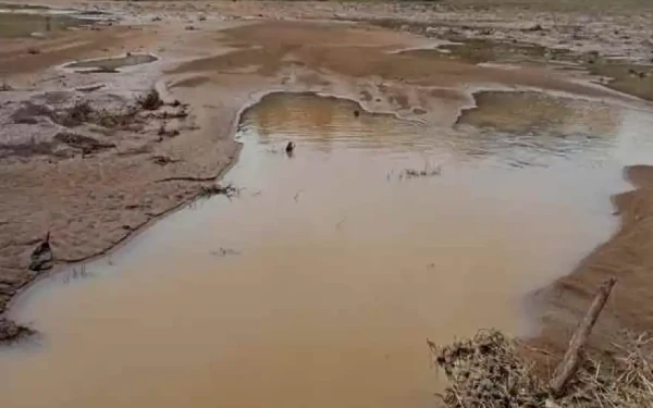 Δήμος Δίου - Ολύμπου: Μέχρι 16 Ιανουαρίου οι αιτήσεις για αποζημιώσεις από την κακοκαιρία Bora