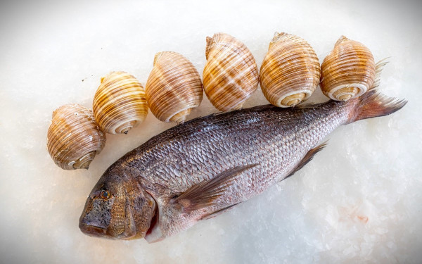 Ιχθυοπωλείο Ποσειδώνας: Κοντά σας κάθε μέρα με φρέσκα ψάρια και θαλασσινά