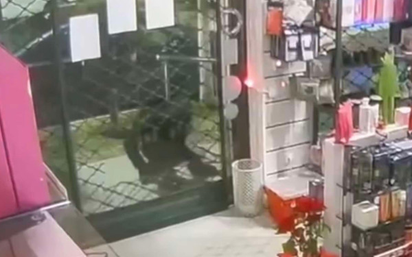 Mπαράζ διαρρήξεων σε φαρμακεία στη δυτική Θεσσαλονίκη - Βίντεο ντοκουμέντο με τον  «ψαλιδοχέρη»