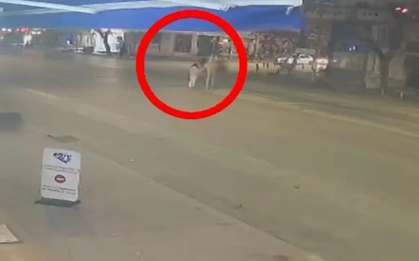 Θεσσαλονίκη: Βίντεο ντοκουμέντο από τη θανατηφόρα παράσυρση 63χρονου από μοτοσικλέτα - Παραβίασε το κόκκινο ο αναβάτης