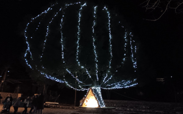 Ένα διαφορετικό υπεραιωνόβιο Χριστουγεννιάτικο δέντρο στη Σκλίβανη Ιωαννίνων