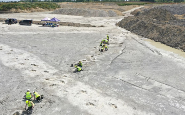 Αποκαλύφθηκαν αποτυπώματα εκατοντάδων δεινοσαύρων στην Αγγλία - Δείτε εντυπωσιακά πλάνα