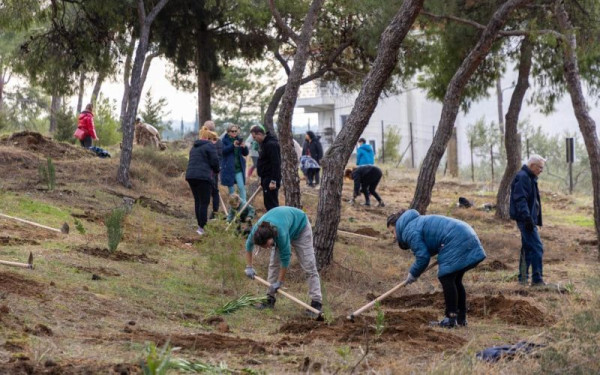 Θεσσαλονίκη: Ρεκόρ με 15 χιλιάδες δενδροφυτεύσεις μέσα στον αστικό ιστό της πόλης