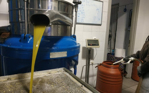 Ελαιόλαδο: Μπλόκο στην πώληση τενεκέ - Ψηφιακό δελτίο αποστολής και myDATA στο ελαιοτριβείο (βίντεο)