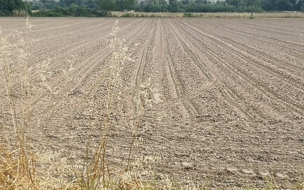 ΥΠΑΑΤ: Πώς μπορούν οι αγρότες να κάνουν διορθώσεις – ενστάσεις για τις επιδοτήσεις