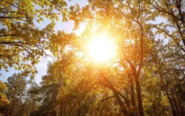 Καλός ο καιρός σήμερα στη Θεσσαλονίκη - Η πρόγνωση του τριημέρου