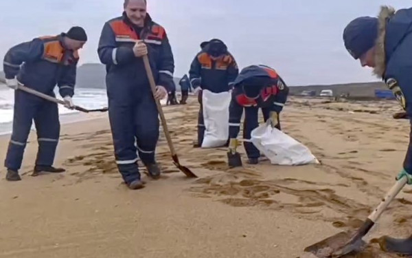 Ρωσία-πετρελαιοκηλίδα: Περισσότερα από 30 θαλάσσια κήτη βρέθηκαν νεκρά στη Μαύρη Θάλασσα