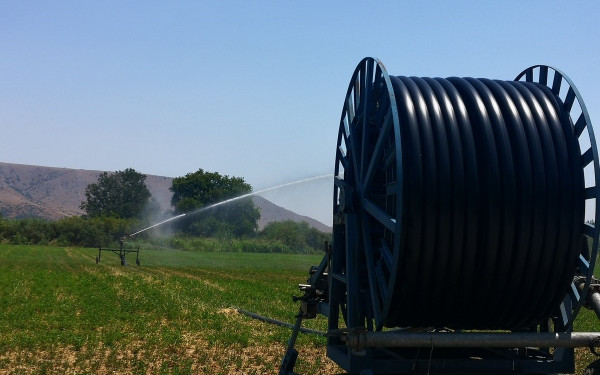 «Σκούπα» της Οικονομικής Αστυνομίας για τις παράνομες επιδοτήσεις του ΟΠΕΚΕΠΕ - 23 συλλήψεις στη Θεσσαλονίκη