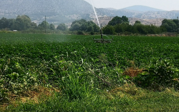 Σε ΦΕΚ οι ενισχύσεις ανά στρέμμα για παρεμβάσεις των Οικολογικών Σχημάτων