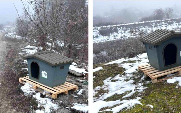 Δράμα: Ο δήμος Κάτω Νευροκοπίου στηρίζει τα αδέσποτα παρέχοντας σπιτάκια