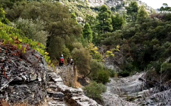 Εθελόντριες άνοιξαν τα μονοπάτια της Σιθωνίας