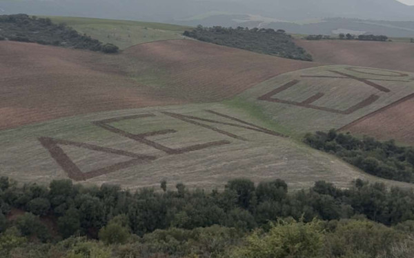 «Δεν έχω οξυγόνο»: Πώς  δύο φίλοι αποτύπωσαν τις τελευταίες λέξεις των θυμάτων των Τεμπών σε ένα χωράφι