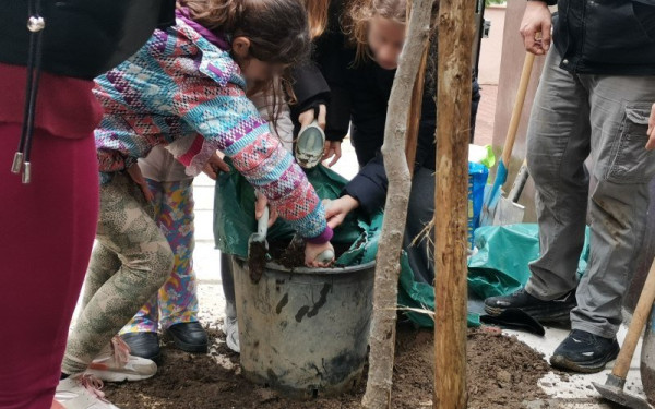 Θεσσαλονίκη: Μαθητές και μαθήτριες του 43ου Δημοτικού σχολείου φύτεψαν μία νεαρή λικιδάμβαρη