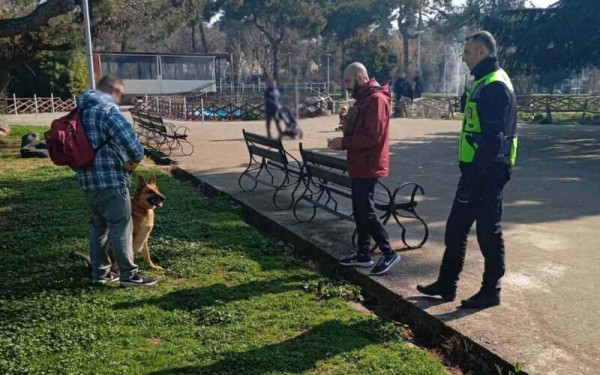 Θεσσαλονίκη: Στους δρόμους η μοναδική αστυνομική ομάδα για τα ζώα συντροφιάς - 843 έλεγχοι και 131 πρόστιμα σε έξι μήνες (βίντεο)