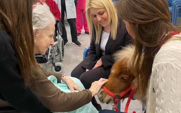Θεσσαλονίκη: Θεραπευτικές επισκέψεις με άλογα σε δομές και φορείς