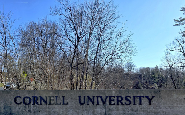 ΗΠΑ: Τα πανεπιστήμια Κορνέλ και Νορθγουέστερν τα επόμενα «θύματα» από τις περικοπές πόρων του Τραμπ