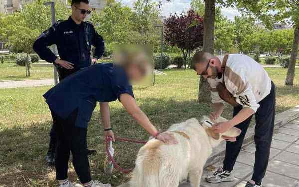 Θεσσαλονίκη: Έλεγχοι σε δεσποζόμενα ζώα συντροφιάς - Δεκάδες παραβάτες και πρόστιμα έως και 500 ευρώ τον Απρίλιο