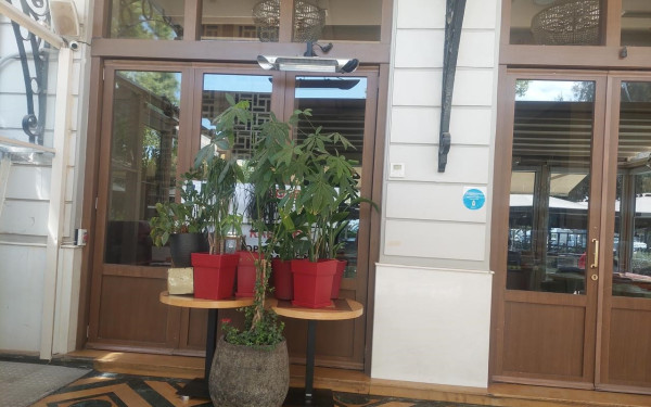 ΑΑΔΕ: 10 ημέρες λουκέτο σε πιτσαρία επειδή ξήλωσε τη σήμανση «κλειστό λόγω φοροδιαφυγής»