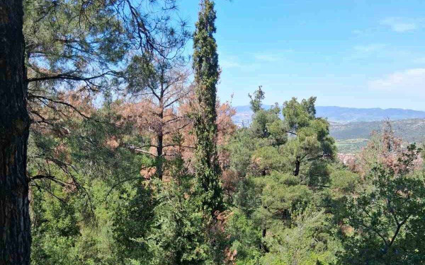 Θεσσαλονίκη: Απαγόρευση κυκλοφορίας στο Σέιχ Σου και στα δάση Ωραιοκάστρου, Θέρμης και Πανοράματος