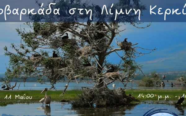 Γιορτή της Μητέρας με Οινοβαρκάδα στη Λίμνη Κερκίνη