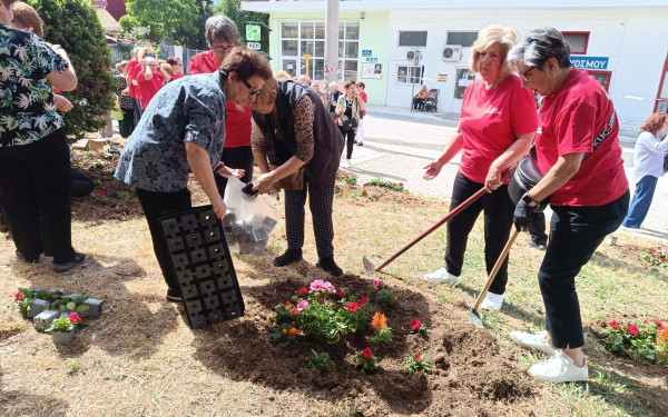 Θεσσαλονίκη: Τα μέλη των ΚΑΠΗ Ευόσμου - Κορδελιού υιοθέτησαν πάρκο και φύτεψαν 400 λουλούδια