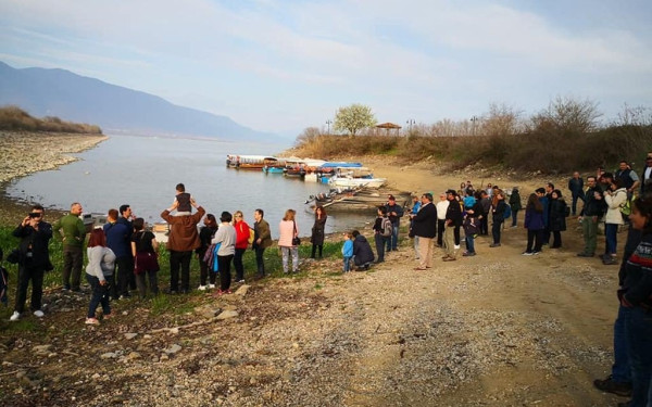 Απελευθερώθηκαν πτηνά στη λίμνη Κερκίνη (φωτογραφία)