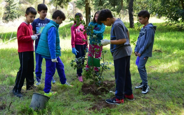 Θεσσαλονίκη: Πολίτες φυτεύουν σήμερα 1.000 δέντρα στην Τριανδρία