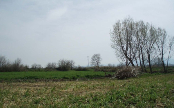 Αντιπαράθεση Γεωργαντά-Αρσένη στη Βουλή για το μέλλον των αγροτών και των κτηνοτρόφων