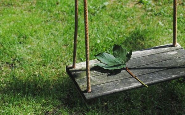 Θέρμη: Δεντροφύτευση σε σχολεία των Βασιλικών