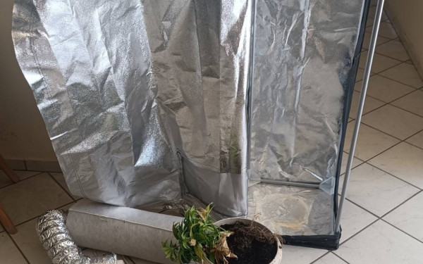 Χαλκιδική: Δύο συλλήψεις για κάνναβη και ναρκωτικά