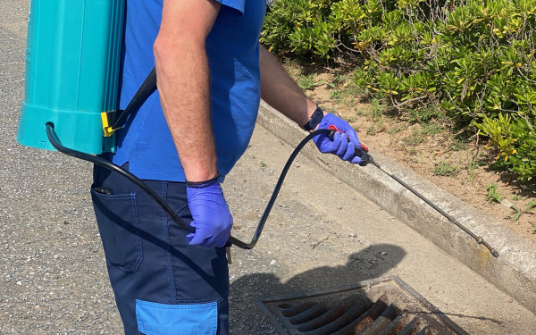 Δήμος Πυλαίας - Χορτιάτη: Προληπτικές δράσεις κατά των κουνουπιών