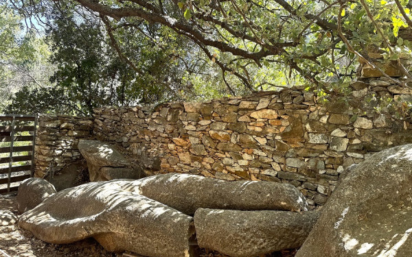 Η ορεινή Νάξος μετατρέπεται σε εθνικό παράδειγμα βιώσιμης ανάπτυξης