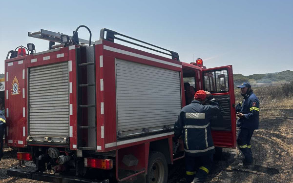 Θεσσαλονίκη: Μεγάλη φωτιά σε δάσος στο Ωραιόκαστρο - Σηκώθηκαν και εναέρια (βίντεο)