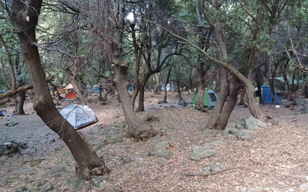 Σαμοθράκη: Τέλος εποχής για το «ελεύθερο κάμπινγκ» στην Πλατιά - Φόβοι για ανεξέλεγκτη κατασκήνωση