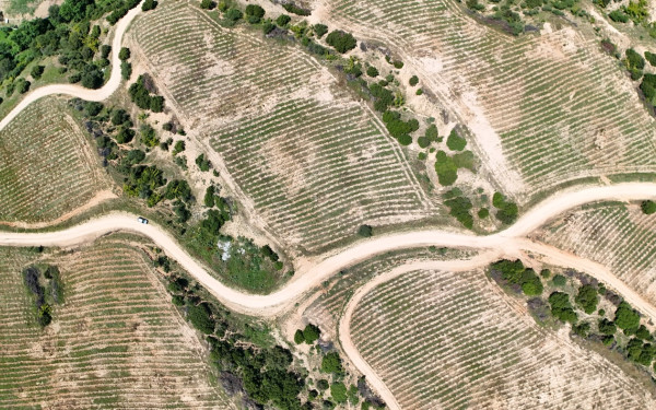 Ένα δάσος με 100.000 δέντρα και χώρος αναψυχής στην Ευκαρπία, με δωρεά του Στ. Ανδρεάδη