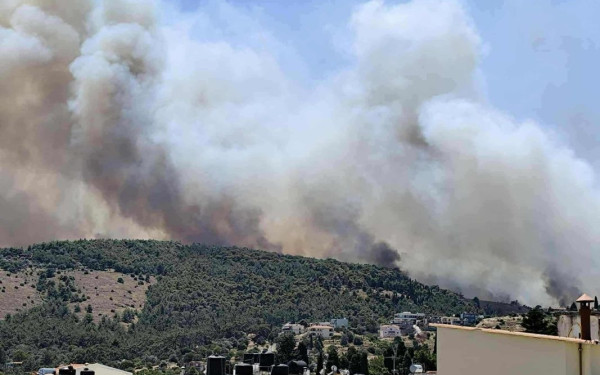 Μεγάλη φωτιά σε δάσος στη Χίο - Μήνυμα του 112 σε κατοίκους 15 περιοχών για να απομακρυνθούν - Κλιμάκιο της ΔΑΕΕ μεταβαίνει στο νησί
