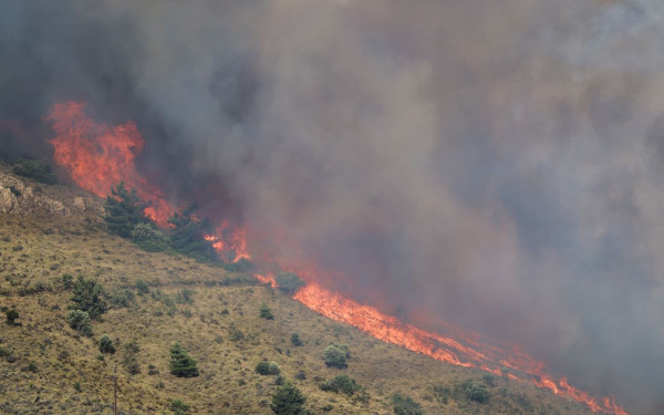 Φωτιά στην Οινόη Αττικής τα ξημερώματα – Μήνυμα του 112 στους κατοίκους