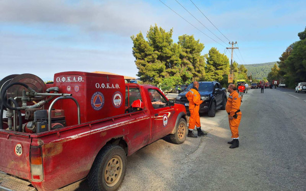 Χαλκιδική: Υπό μερικό έλεγχο η φωτιά στη Βουρβουρού - Αγώνας να σβήσει εντελώς πριν το βράδυ υπό το φόβο ανέμων -  Δείτε βίντεο και φωτογραφίες
