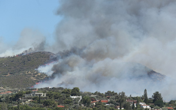Χαλκιδική: Άνδρας συνελήφθη για την πυρκαγιά στην Γαλάτιστα